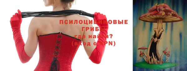 гидра Горнозаводск