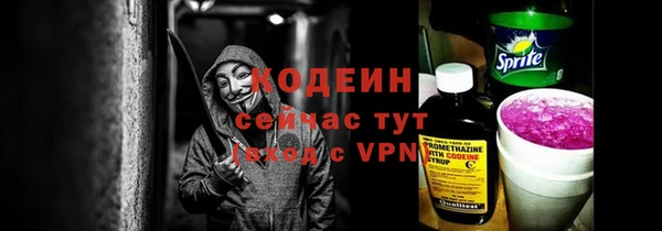 гидра Горнозаводск
