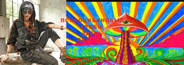 прущий лед Горно-Алтайск