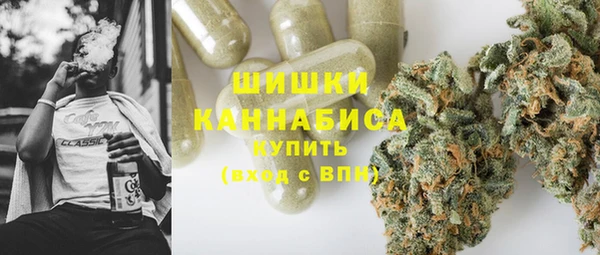 гидра Горнозаводск