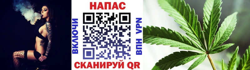 Бошки марихуана тримм  где купить   Ставрополь 